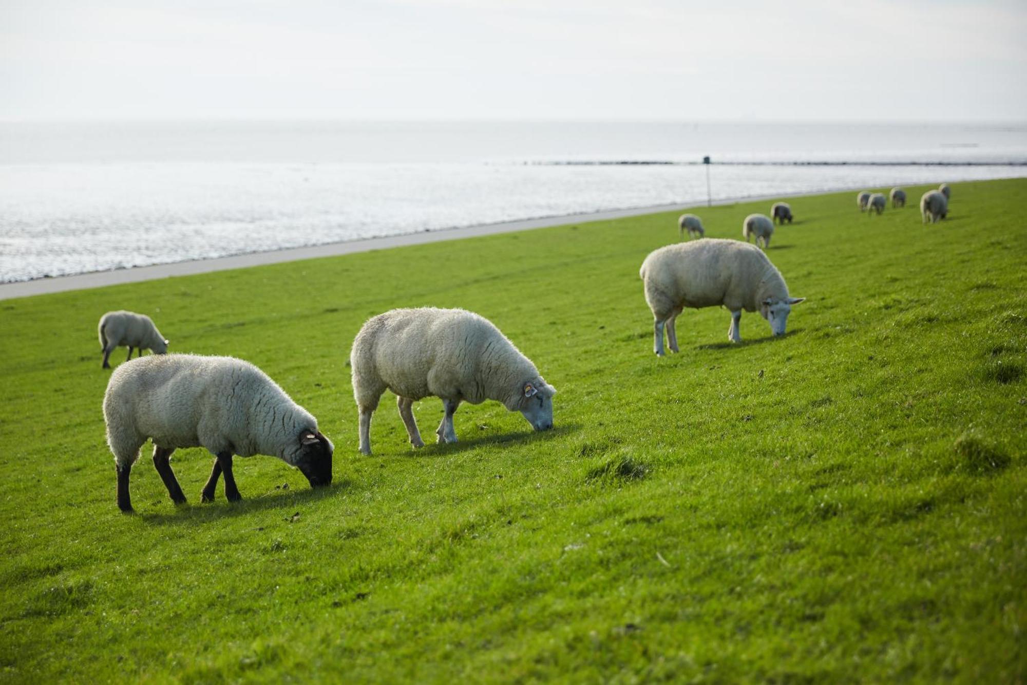 Strandhotel Salty Büsum Kültér fotó
